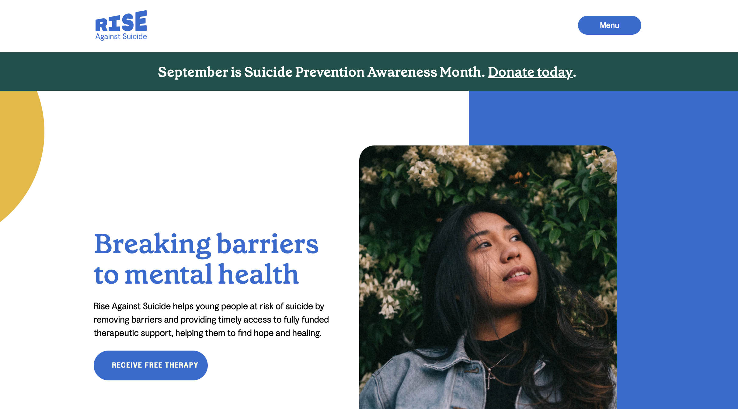 Rise Against Suicide Online Toolkit for Therapist